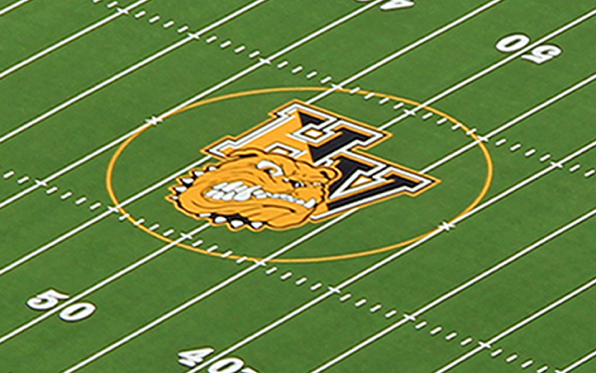 Artificial Sports Surfaces